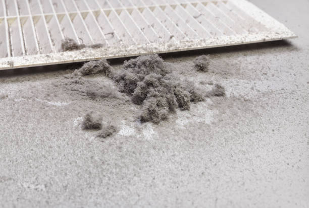 Best Commercial Air Duct Cleaning  in Butler, WI