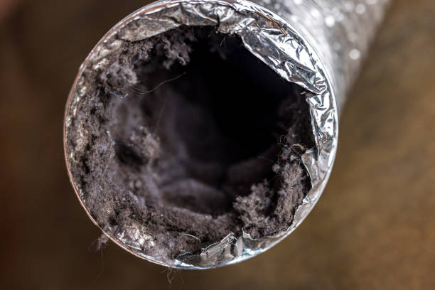 Reliable WI Airduct Cleaning Solutions